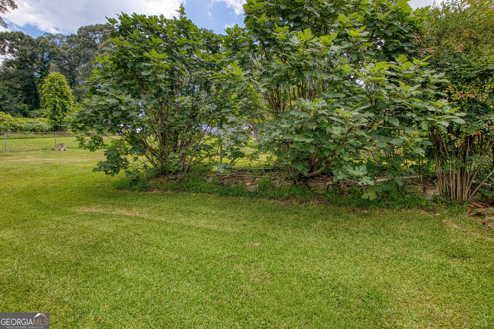 464 Sargent Main Street Newnan - Photo 44