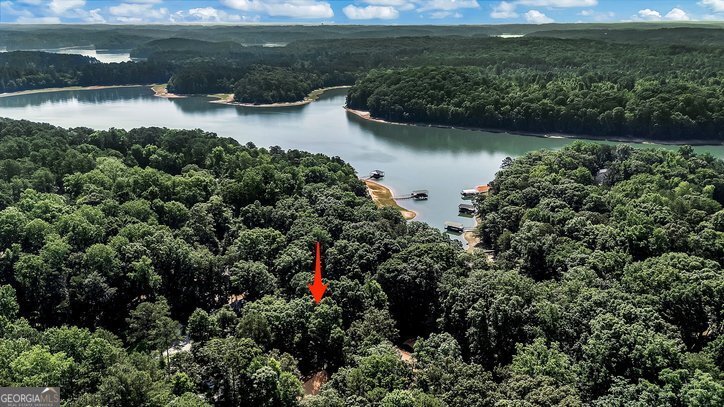123 Forest Drive Townville - Photo 46