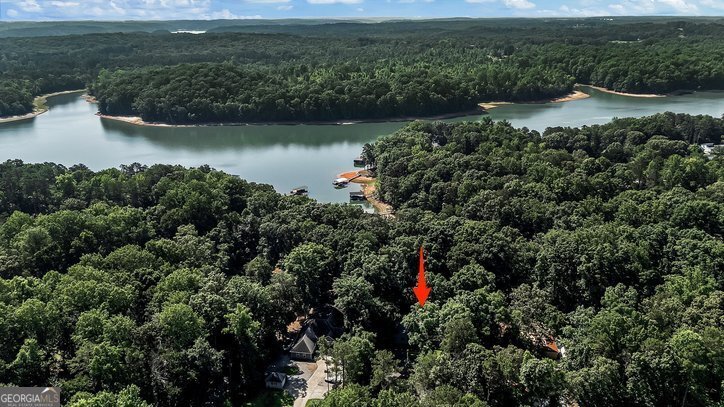 123 Forest Drive Townville - Photo 47
