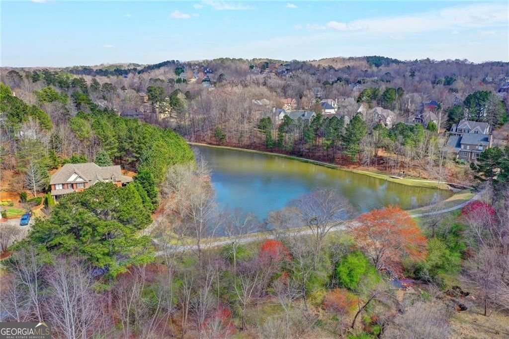 265 Beech Tree Hollow Sugar Hill - Photo 51