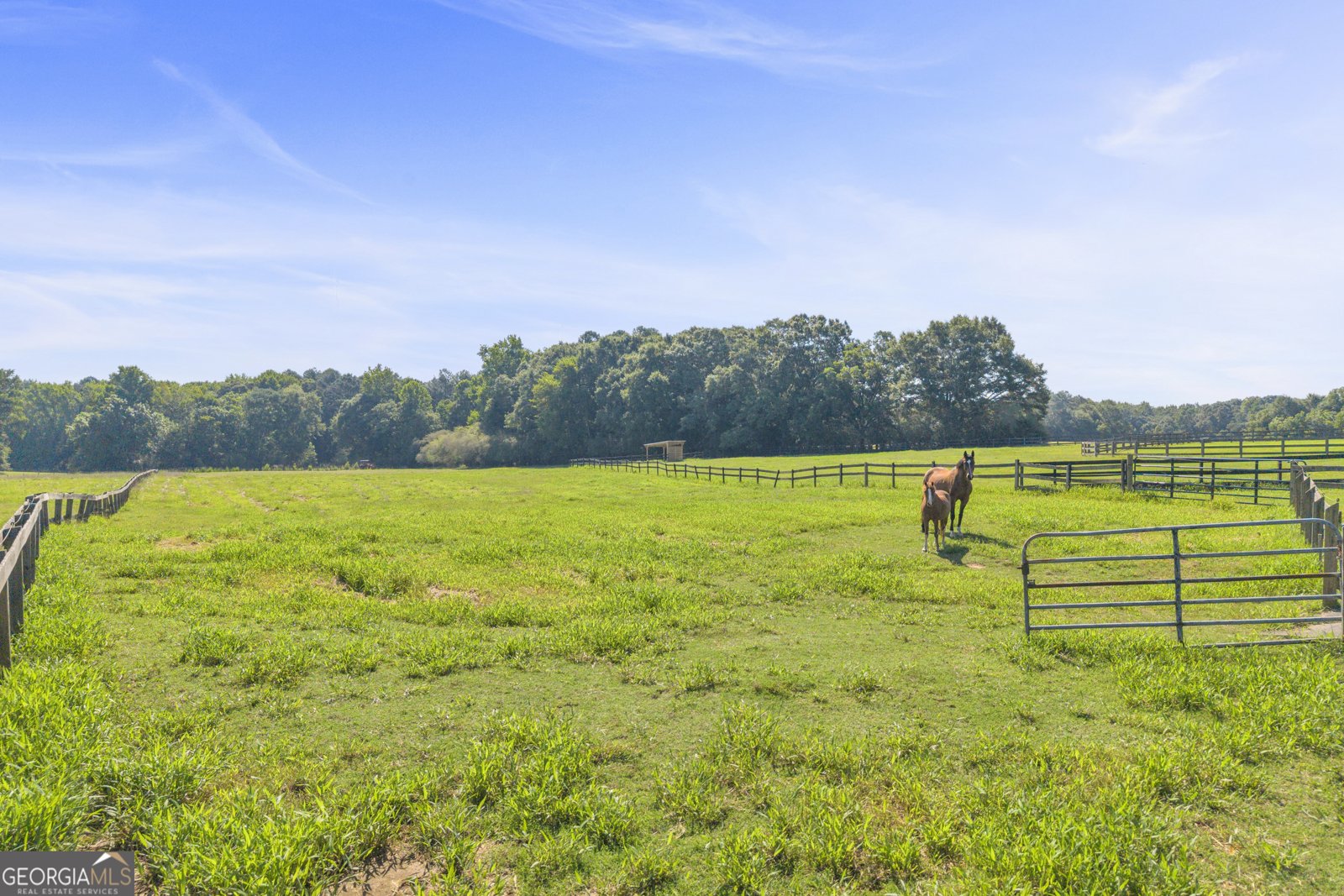 872 Woodlawn Road Mansfield - Photo 61