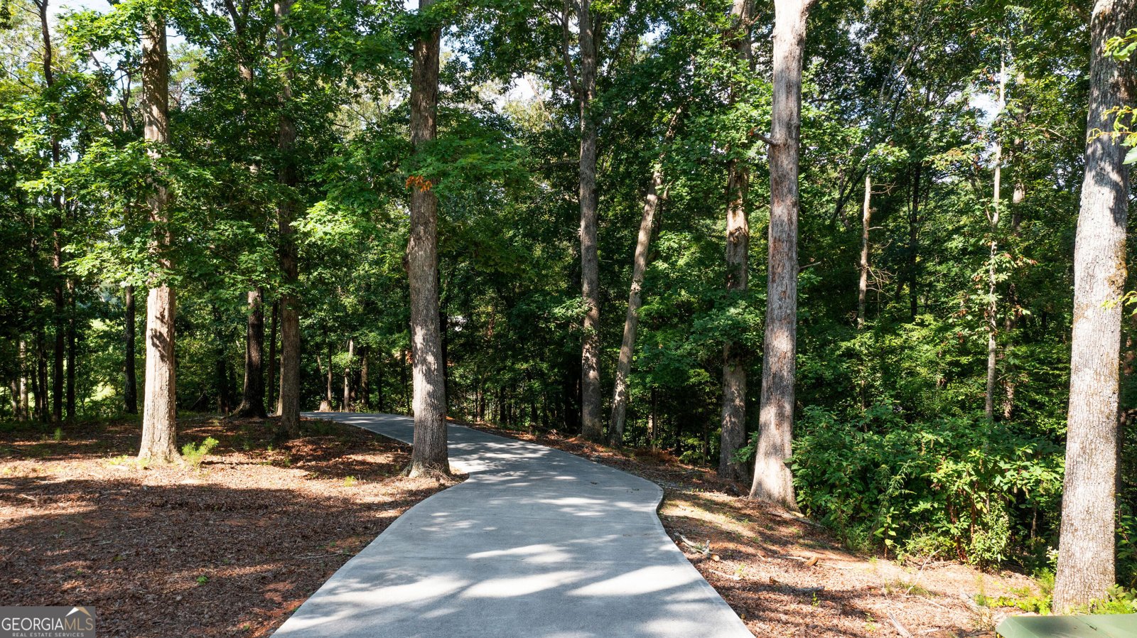 220 Long Road Rydal - Photo 6