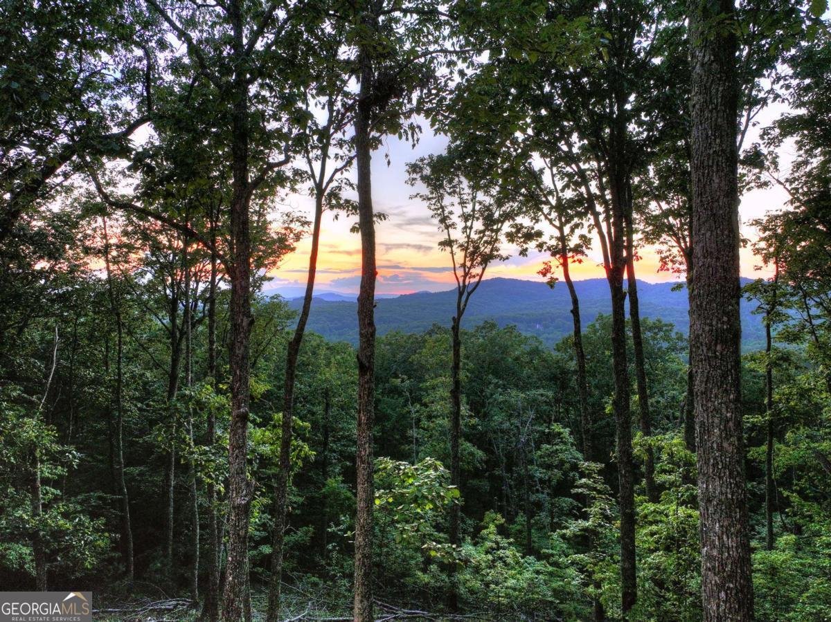 LOT 2 Aubery Ridge Morganton - Photo 31