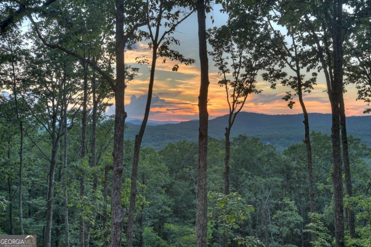 LOT 2 Aubery Ridge Morganton - Photo 32