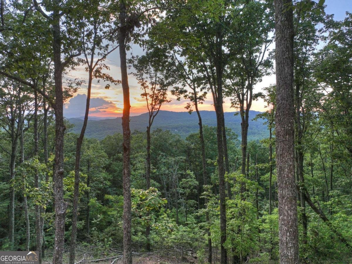 LOT 2 Aubery Ridge Morganton - Photo 34