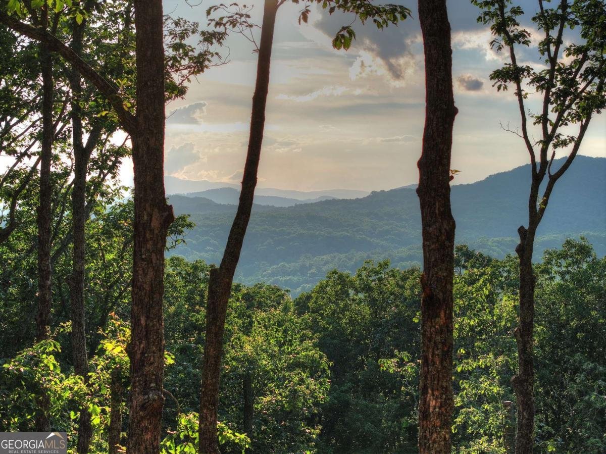 LOT 2 Aubery Ridge Morganton - Photo 49