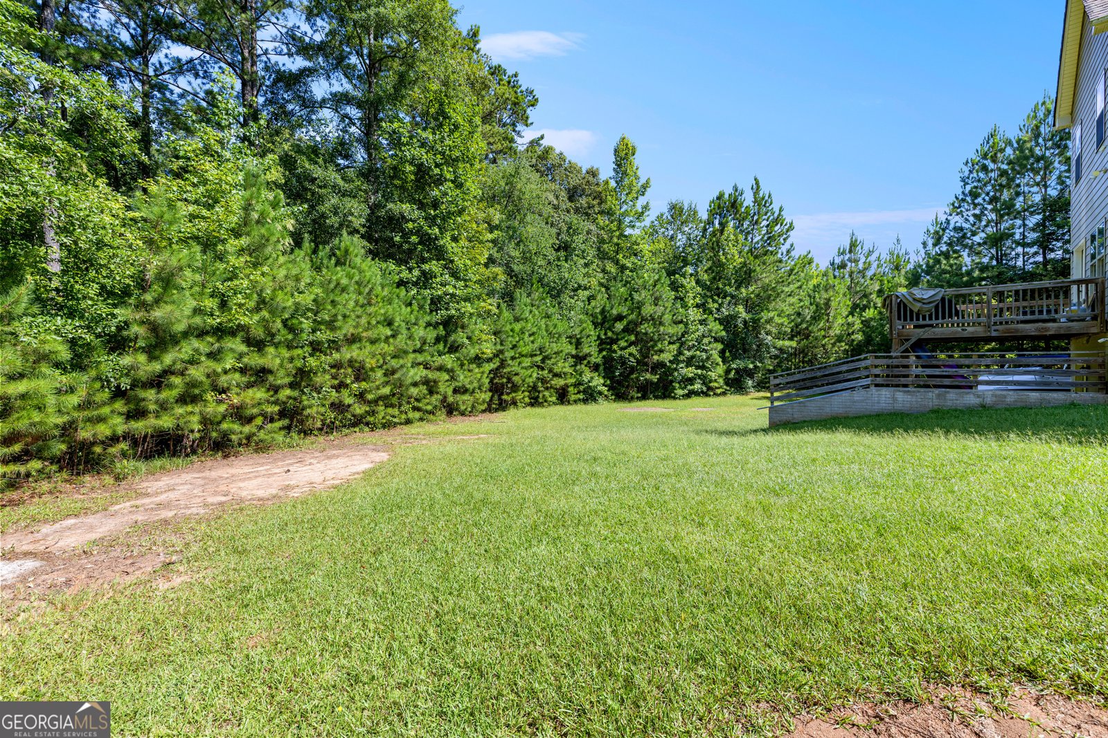 211 Fox Hall Crossing Senoia - Photo 61