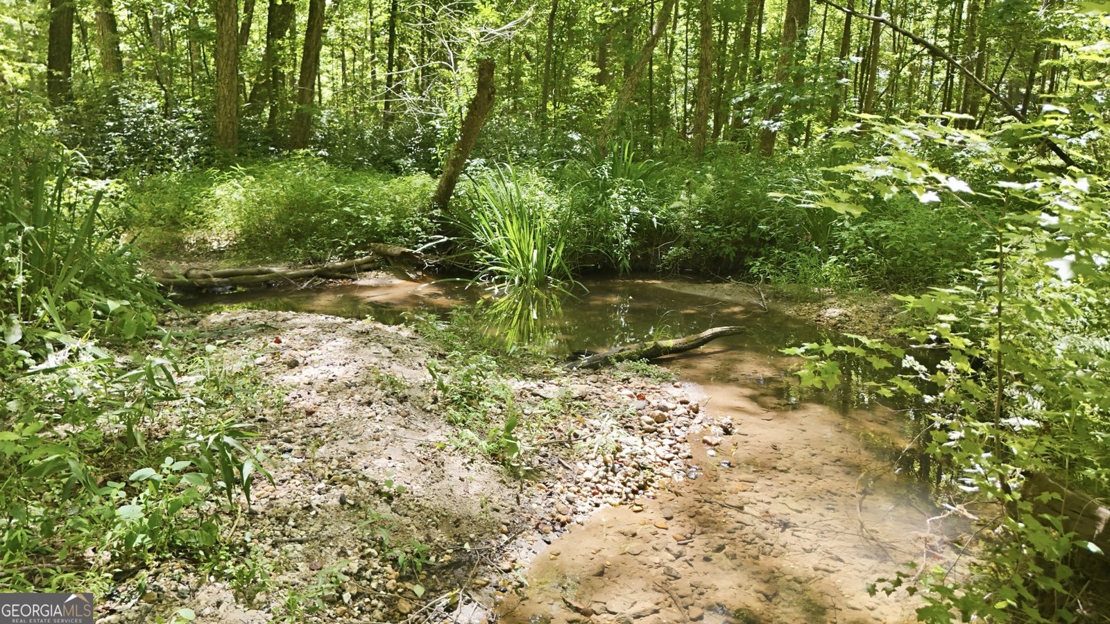 527 Jim Carter Road Clarkesville - Photo 12