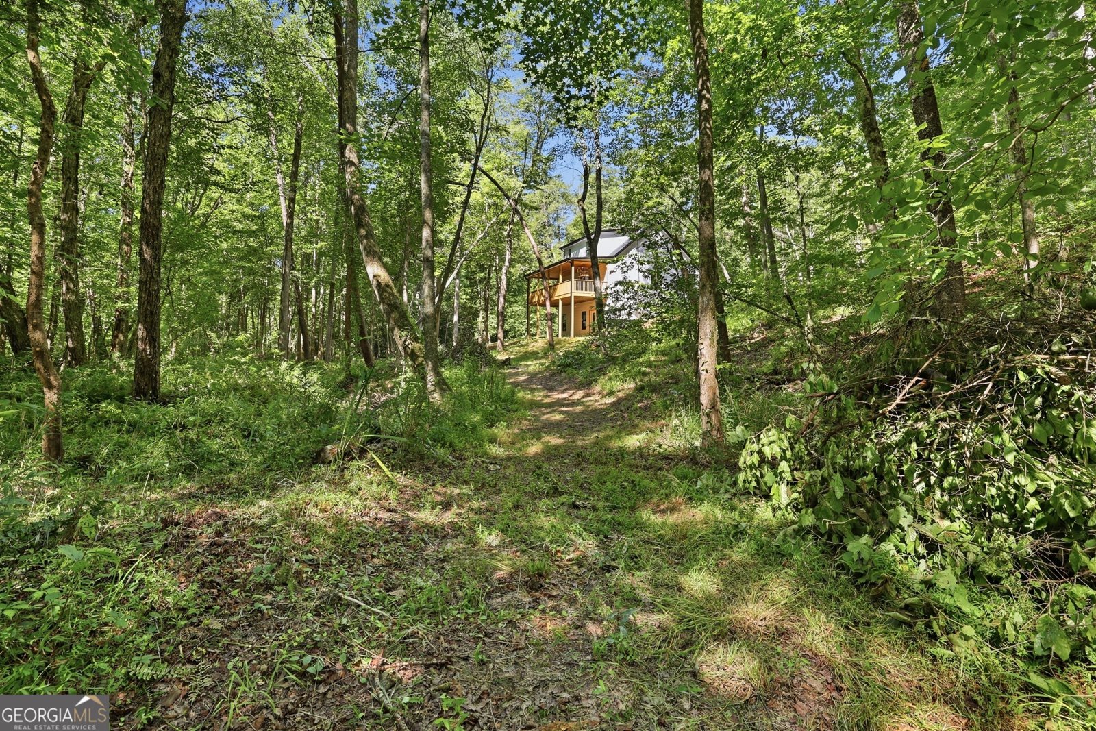 527 Jim Carter Road Clarkesville - Photo 30