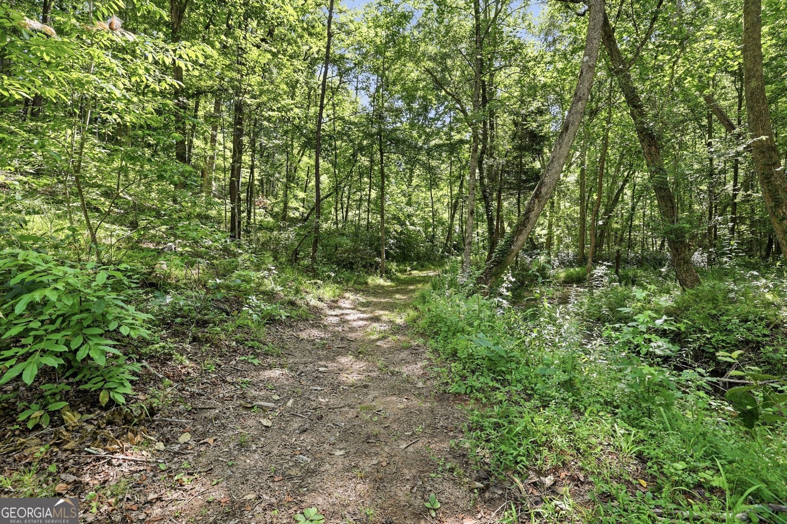 527 Jim Carter Road Clarkesville - Photo 33