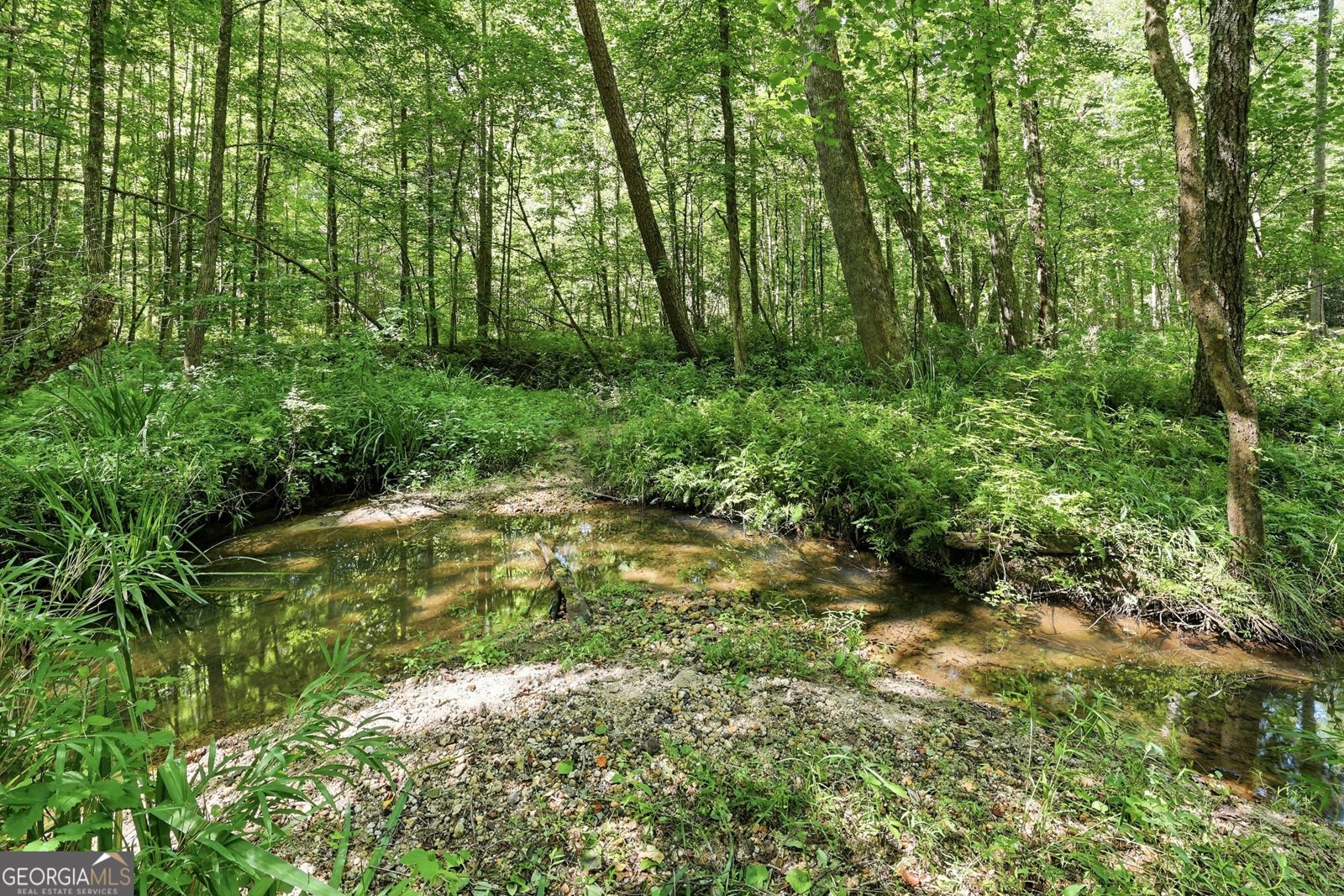 527 Jim Carter Road Clarkesville - Photo 35