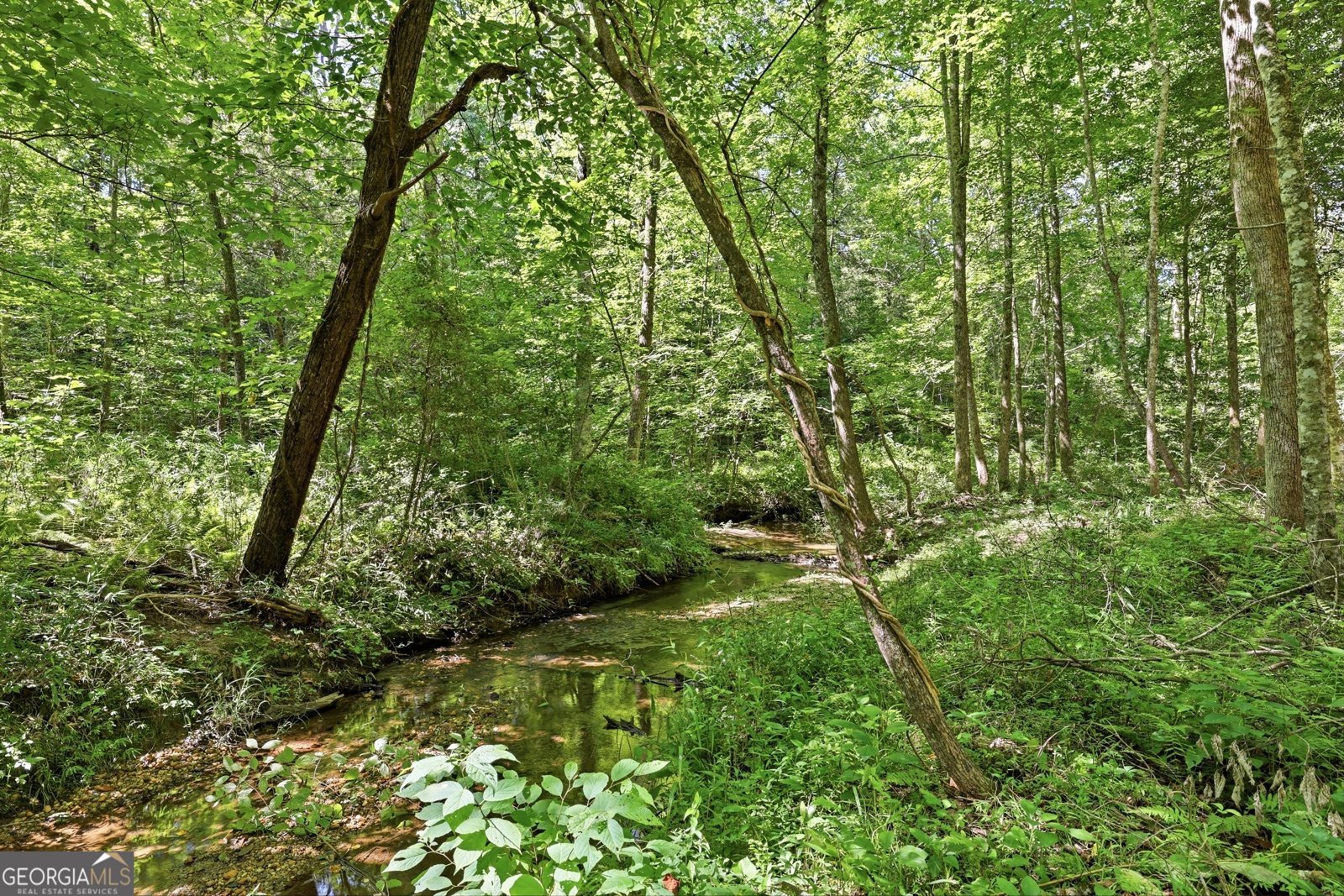 527 Jim Carter Road Clarkesville - Photo 37