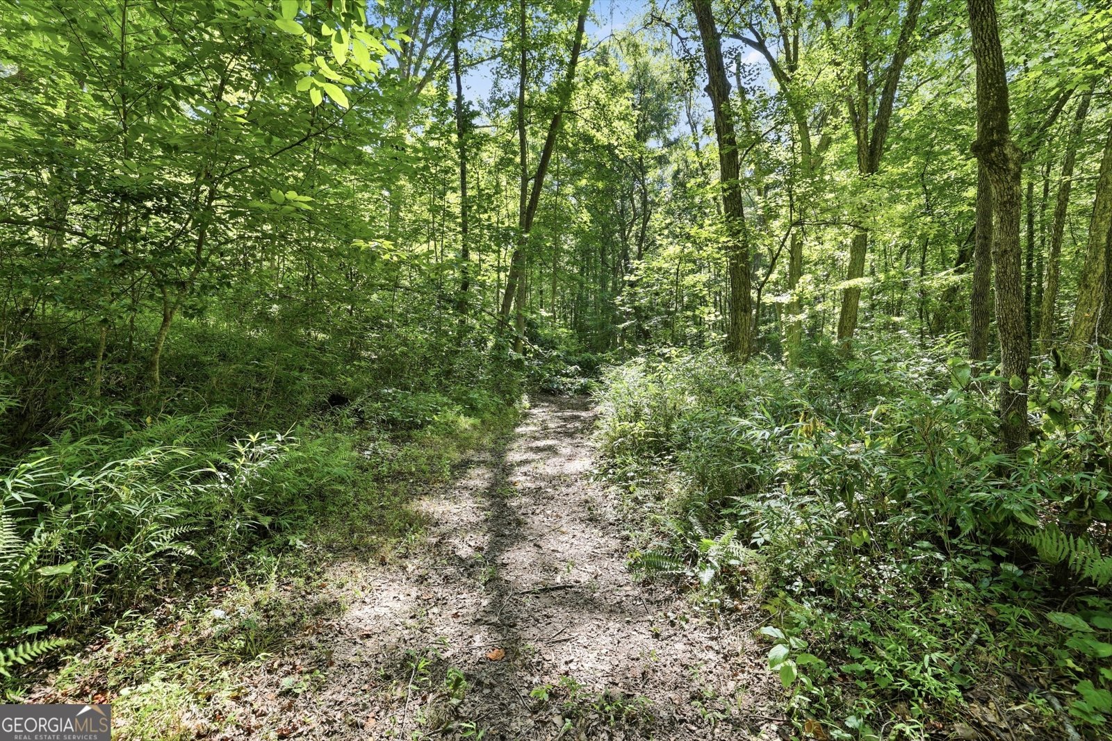 527 Jim Carter Road Clarkesville - Photo 38