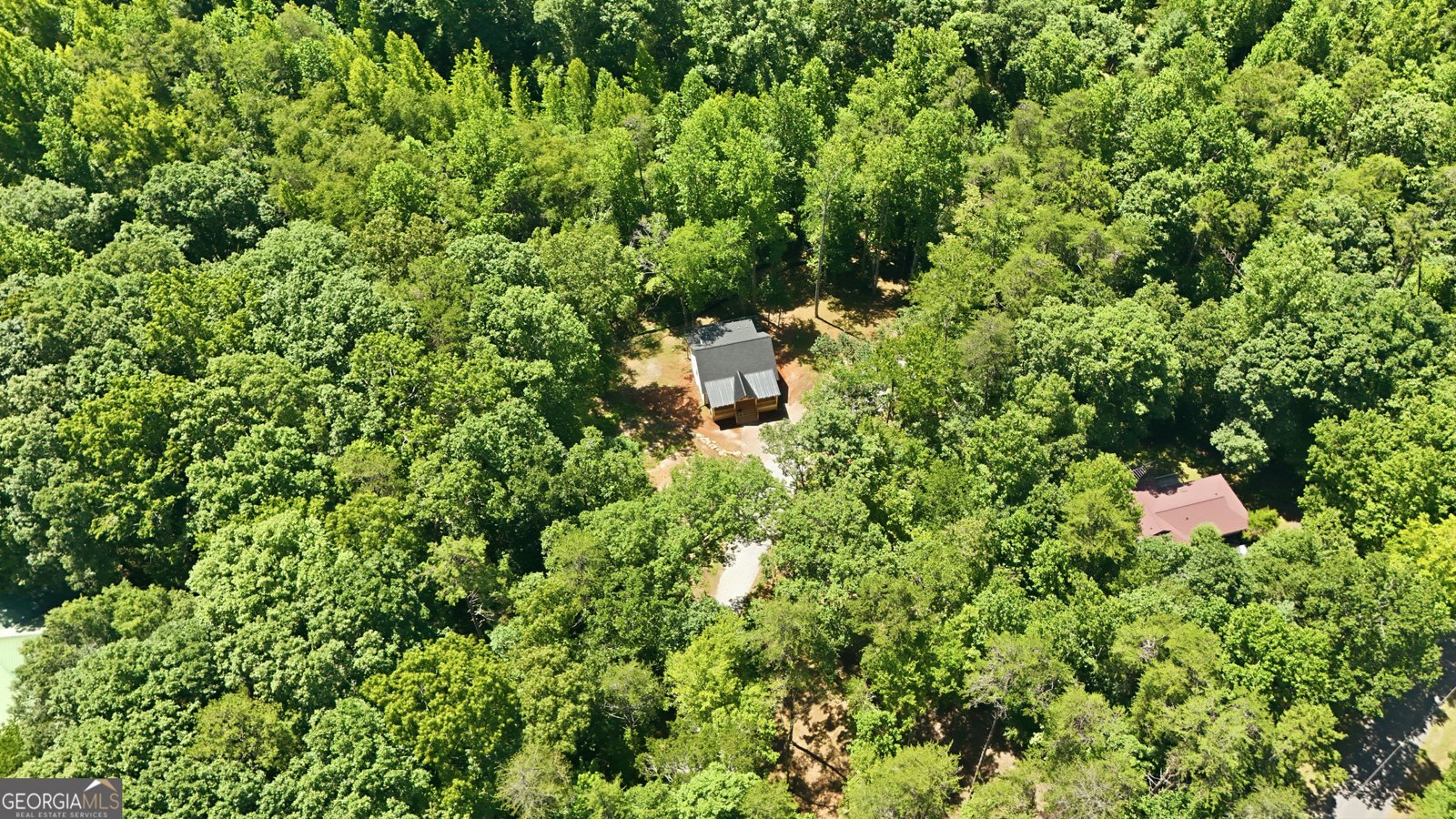 527 Jim Carter Road Clarkesville - Photo 39