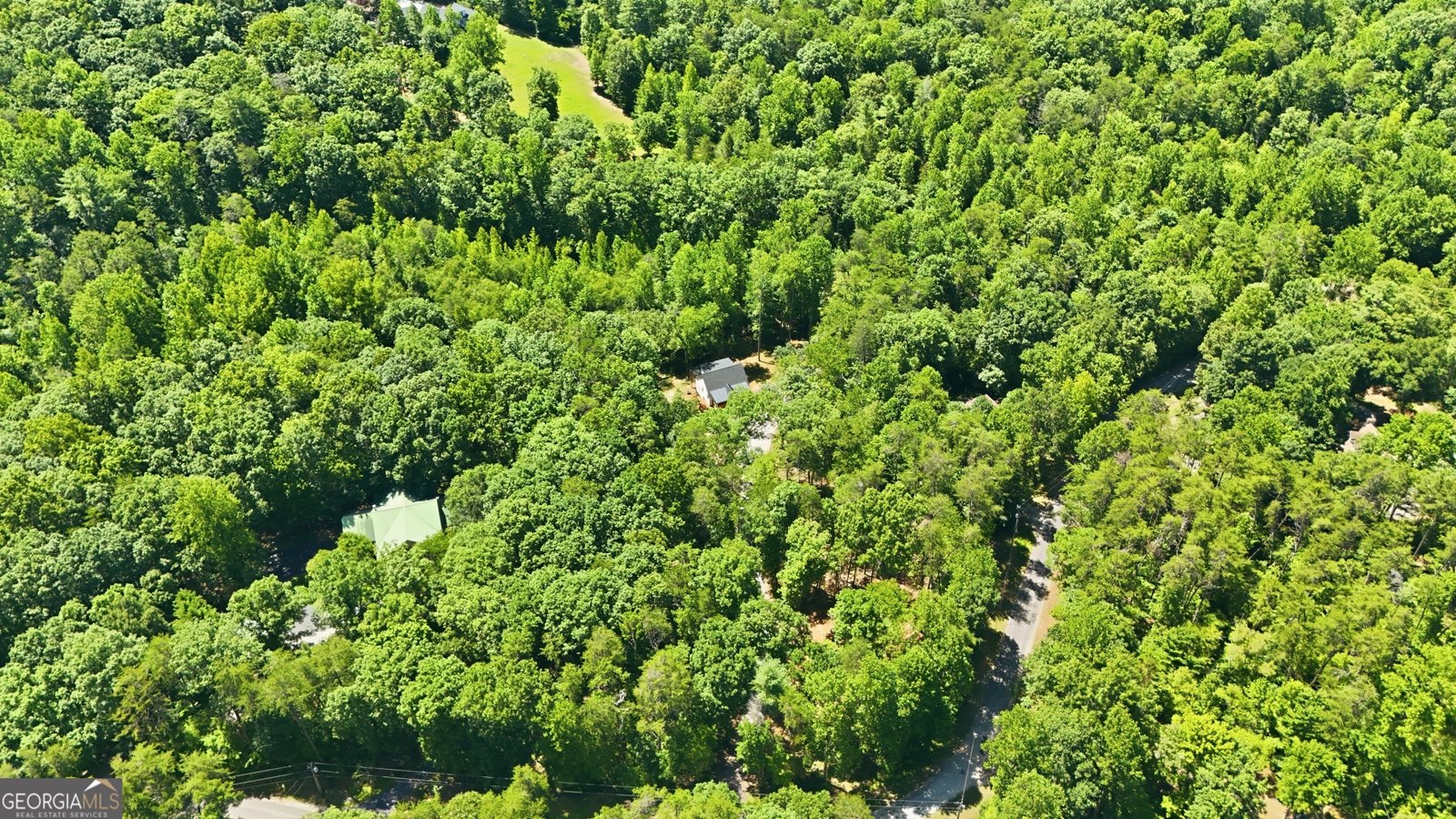 527 Jim Carter Road Clarkesville - Photo 40