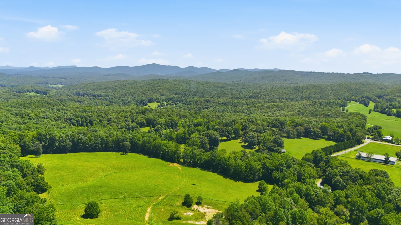 527 Jim Carter Road Clarkesville - Photo 41