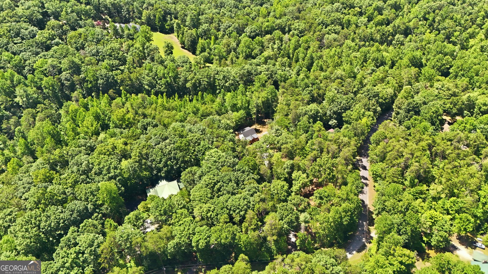 527 Jim Carter Road Clarkesville - Photo 42