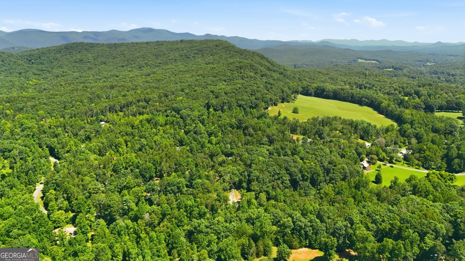 527 Jim Carter Road Clarkesville - Photo 43