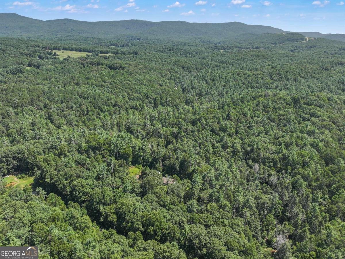 5082 Highway 197 Clarkesville - Photo 10