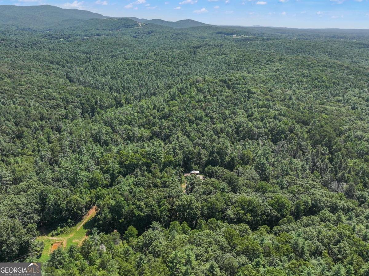 5082 Highway 197 Clarkesville - Photo 11
