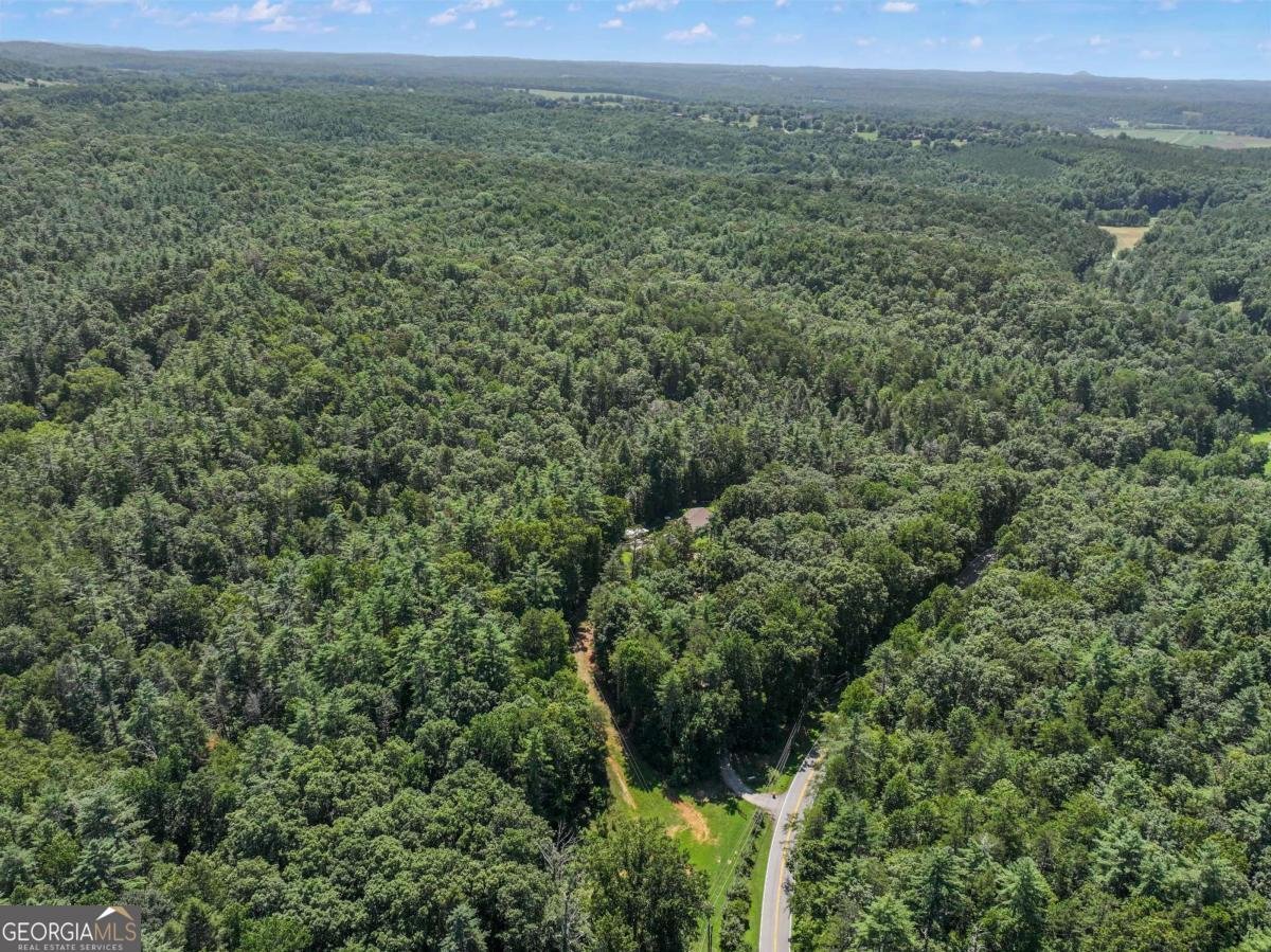 5082 Highway 197 Clarkesville - Photo 12