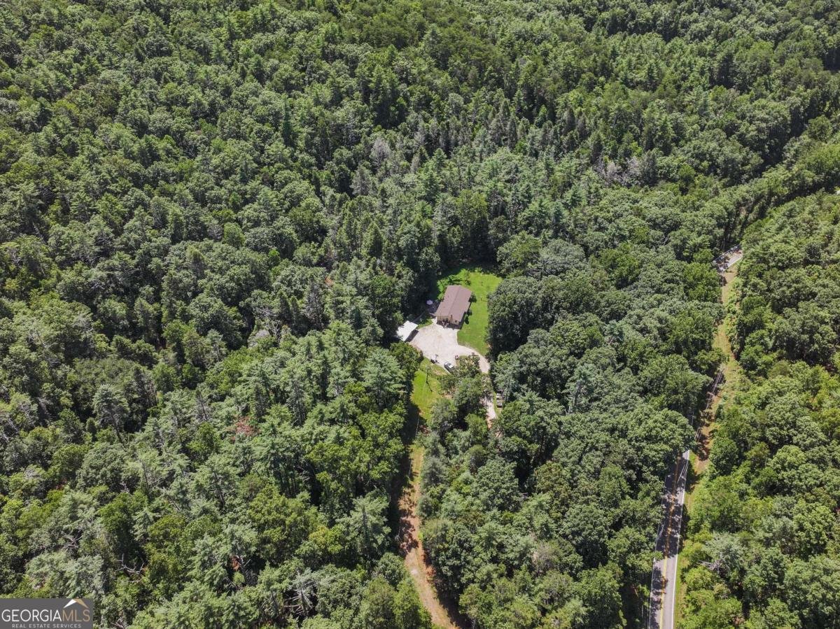 5082 Highway 197 Clarkesville - Photo 15