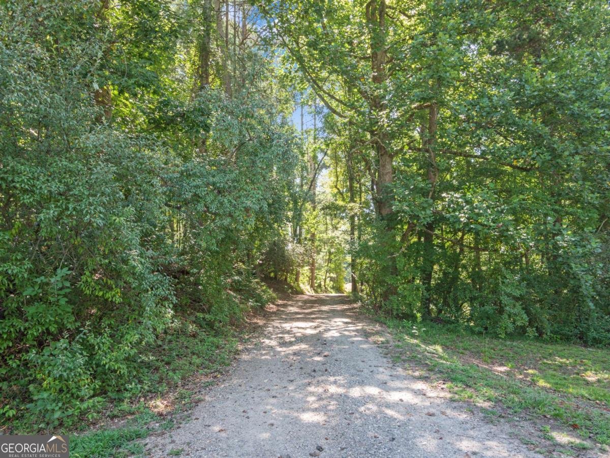 5082 Highway 197 Clarkesville - Photo 18