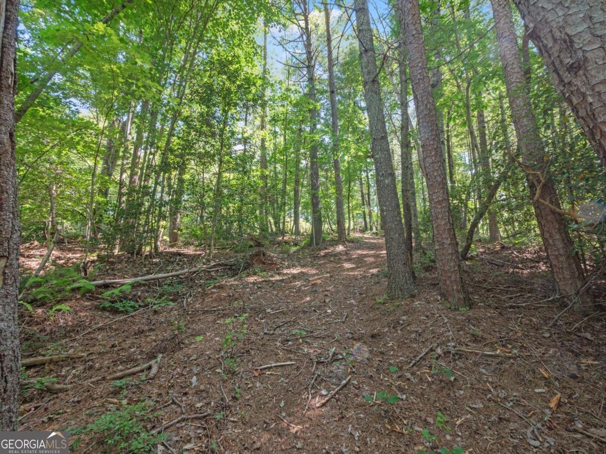 5082 Highway 197 Clarkesville - Photo 19