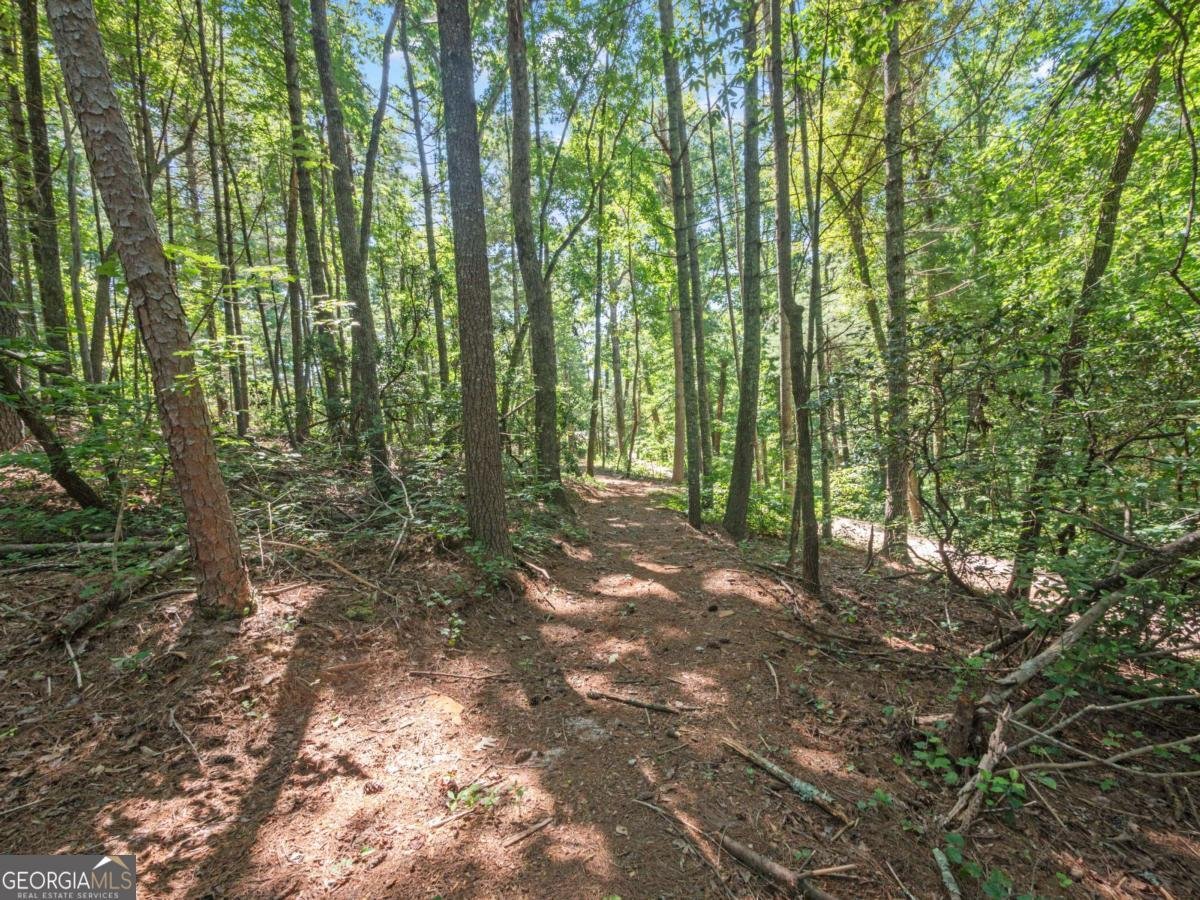 5082 Highway 197 Clarkesville - Photo 20