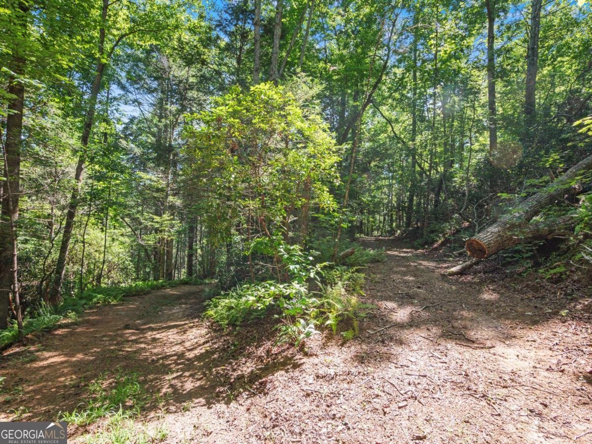 5082 Highway 197 Clarkesville - Photo 22
