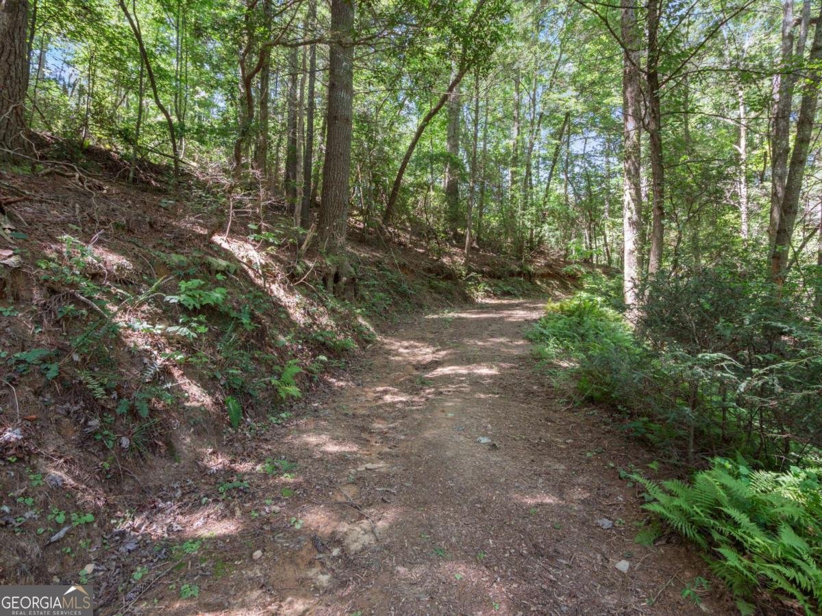 5082 Highway 197 Clarkesville - Photo 23