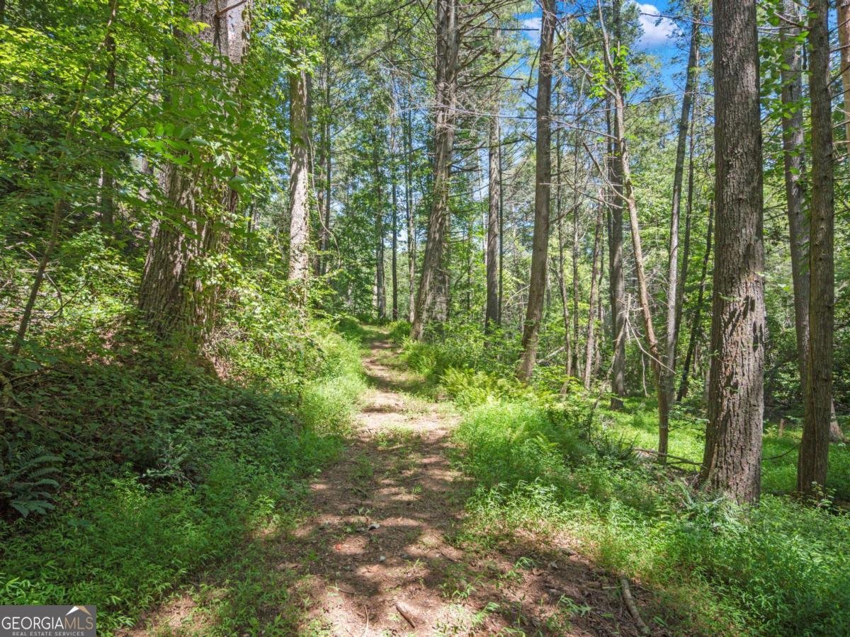 5082 Highway 197 Clarkesville - Photo 24