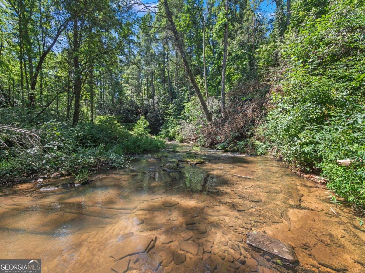 5082 Highway 197 Clarkesville - Photo 25
