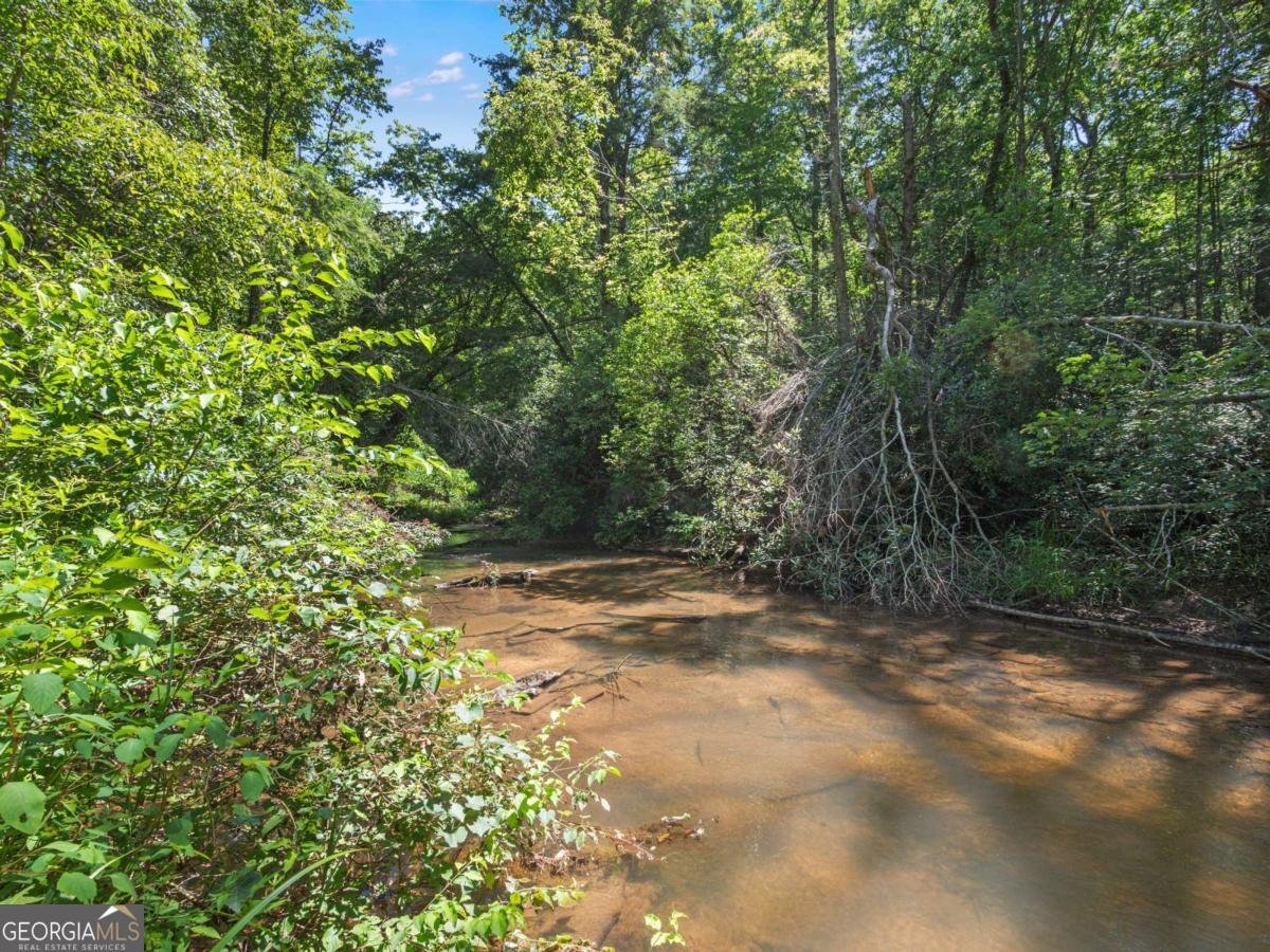 5082 Highway 197 Clarkesville - Photo 26