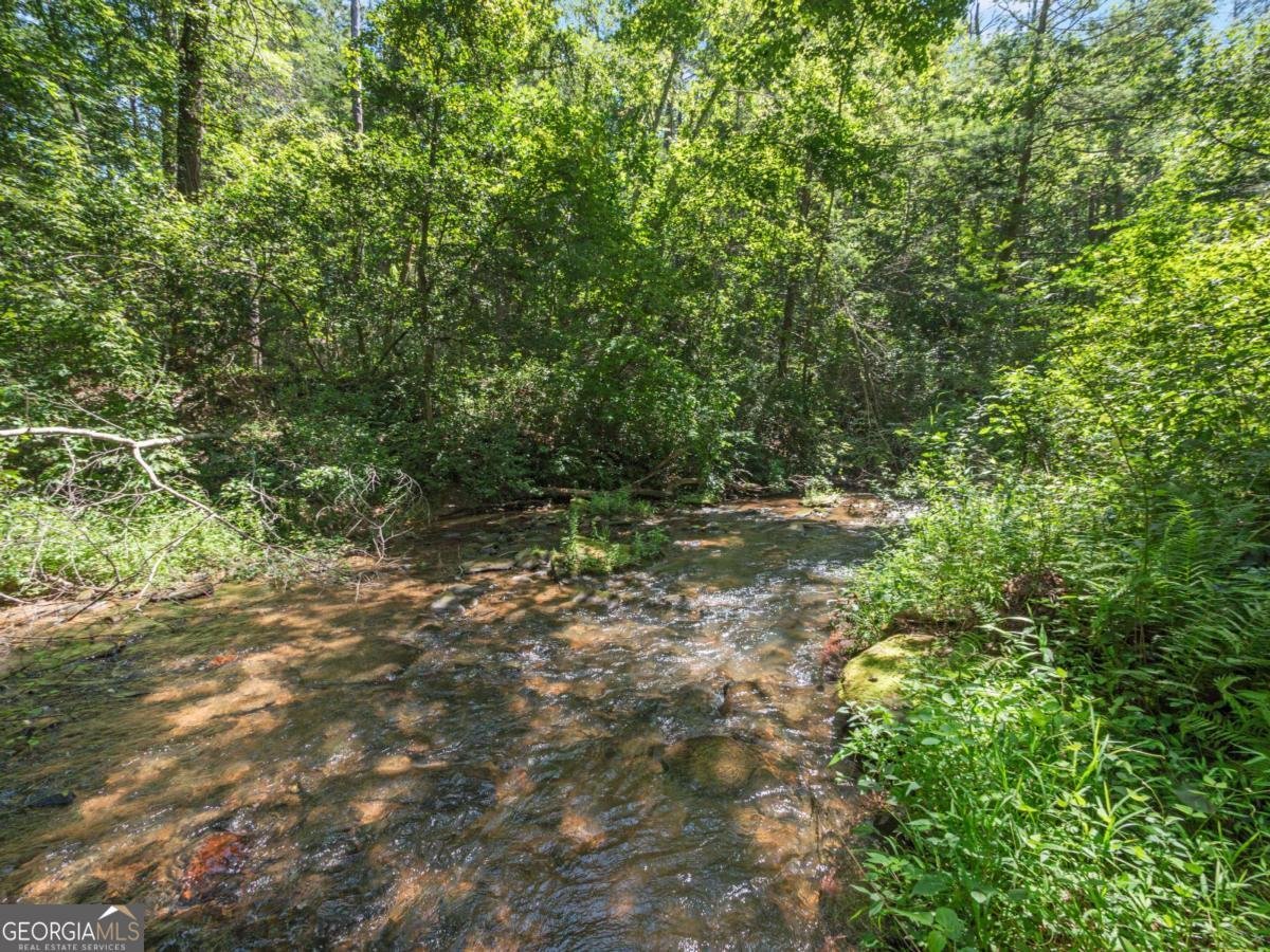 5082 Highway 197 Clarkesville - Photo 27