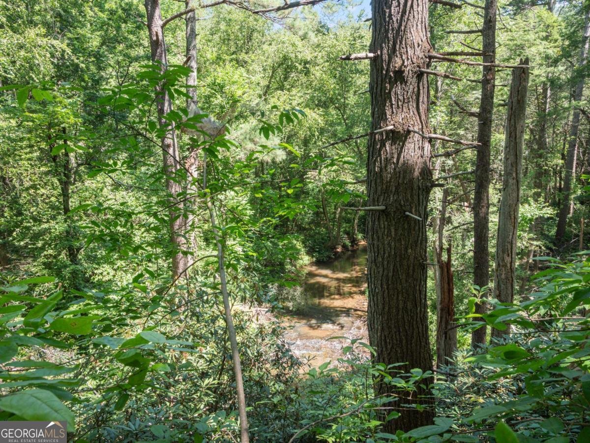 5082 Highway 197 Clarkesville - Photo 28