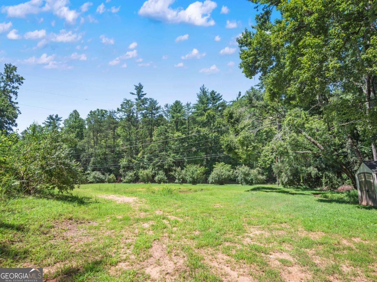 5082 Highway 197 Clarkesville - Photo 29