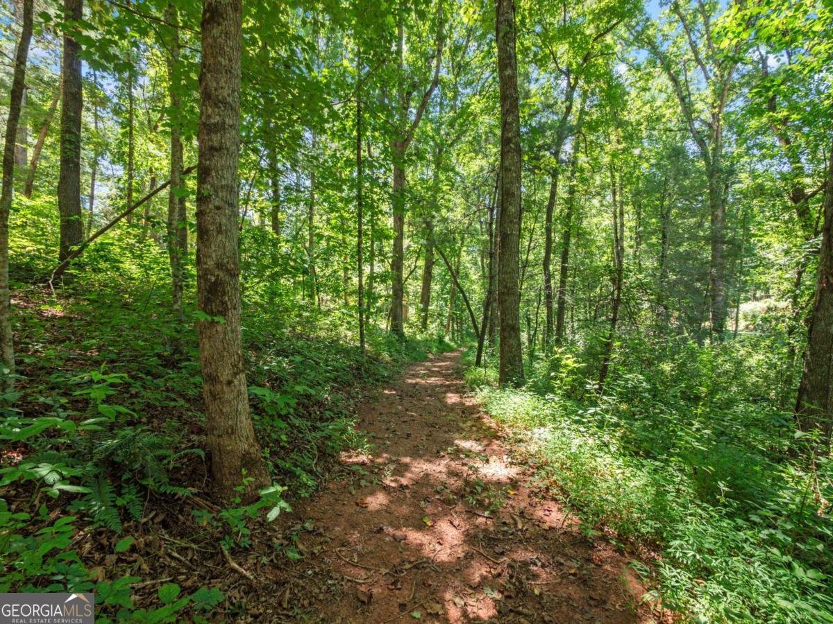 5082 Highway 197 Clarkesville - Photo 30