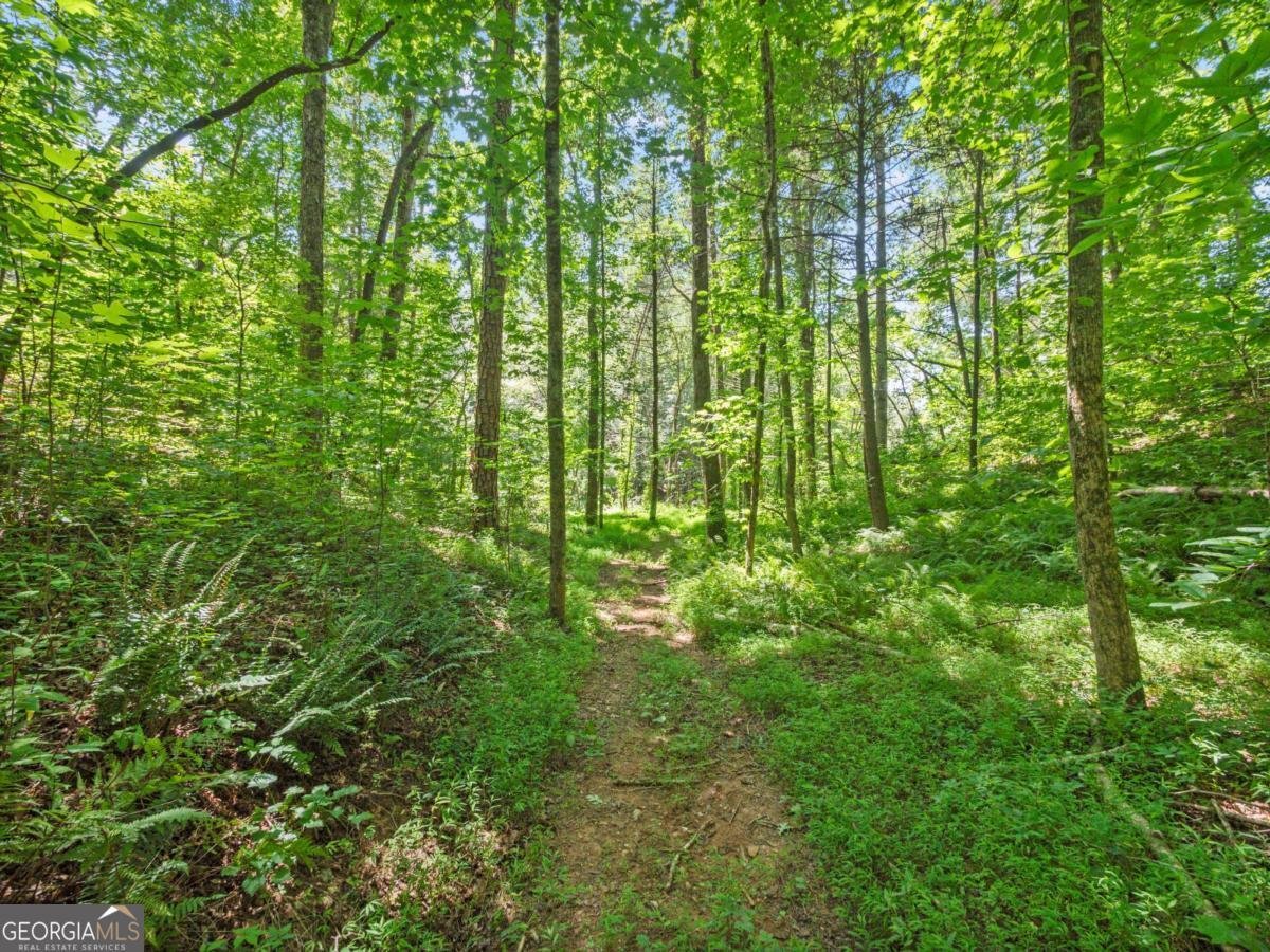 5082 Highway 197 Clarkesville - Photo 31