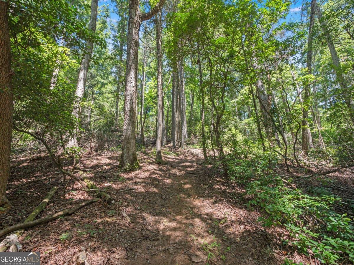 5082 Highway 197 Clarkesville - Photo 33