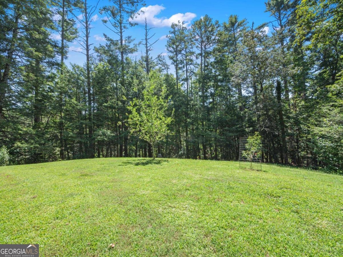5082 Highway 197 Clarkesville - Photo 35