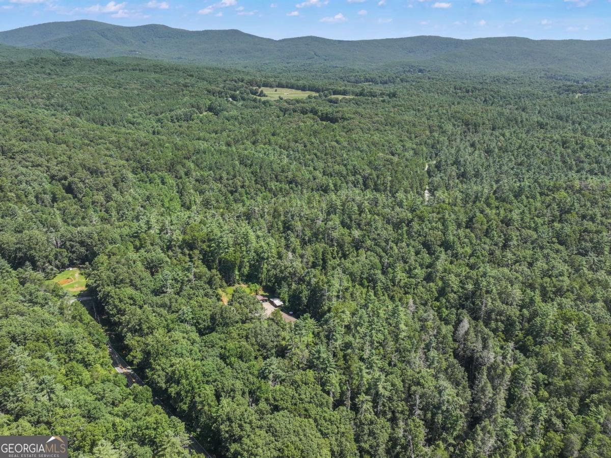 5082 Highway 197 Clarkesville - Photo 9