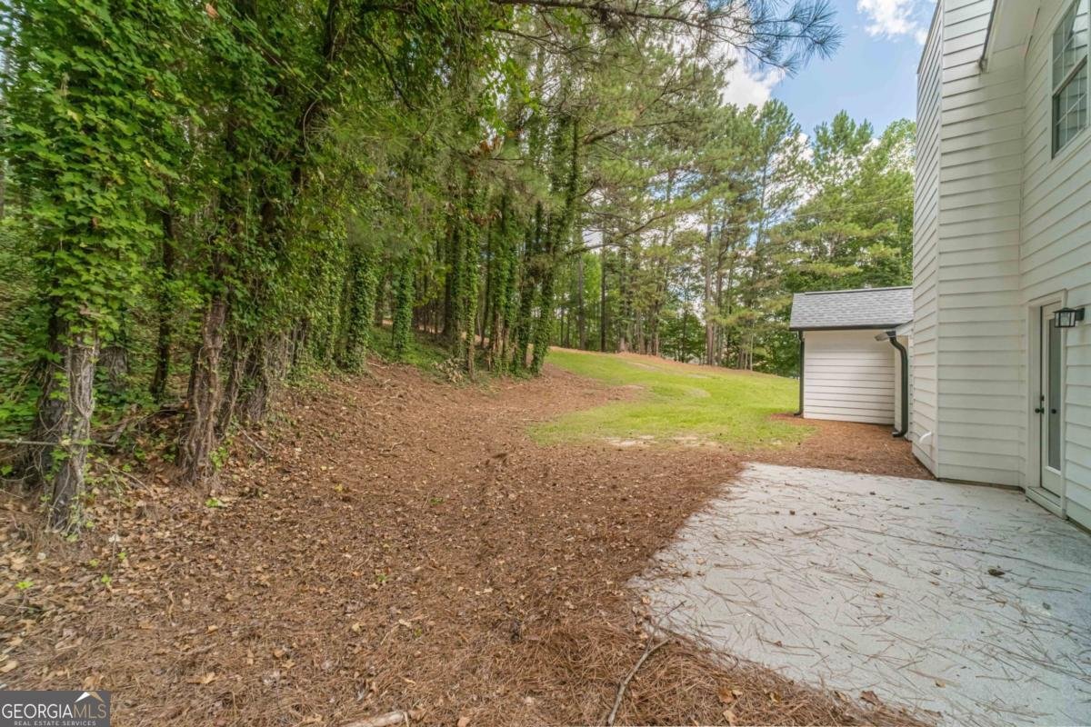 3646 Sharon Church Road Loganville - Photo 42