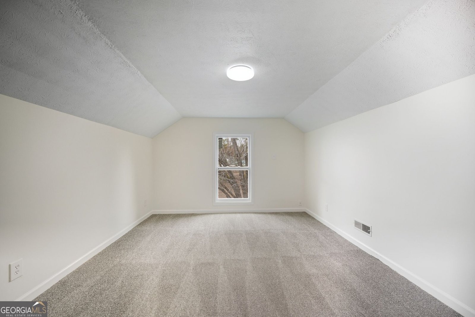 12 Clearwater Road Sharpsburg - Photo 27