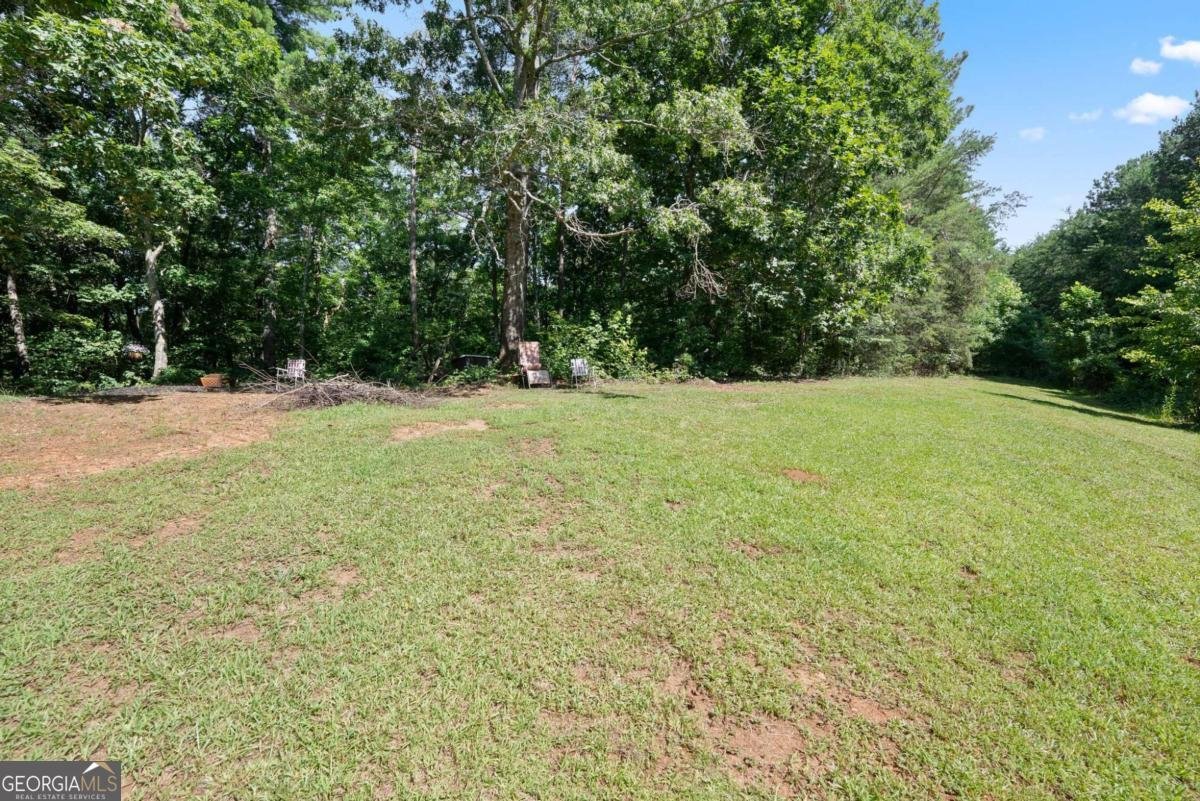 9724 Elliott Family Parkway Dawsonville - Photo 48