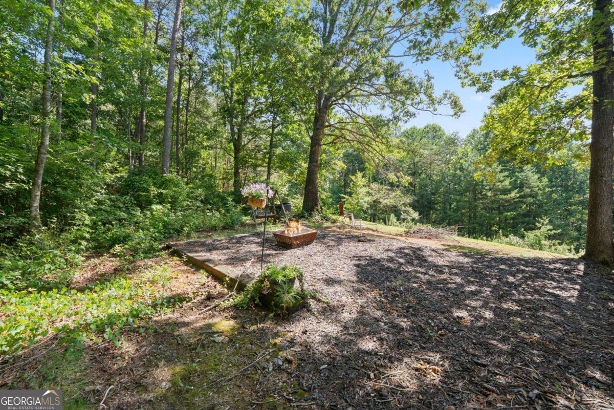 9724 Elliott Family Parkway Dawsonville - Photo 49
