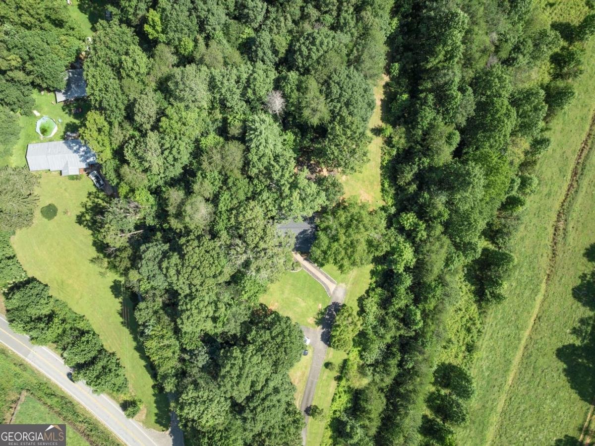 9724 Elliott Family Parkway Dawsonville - Photo 50