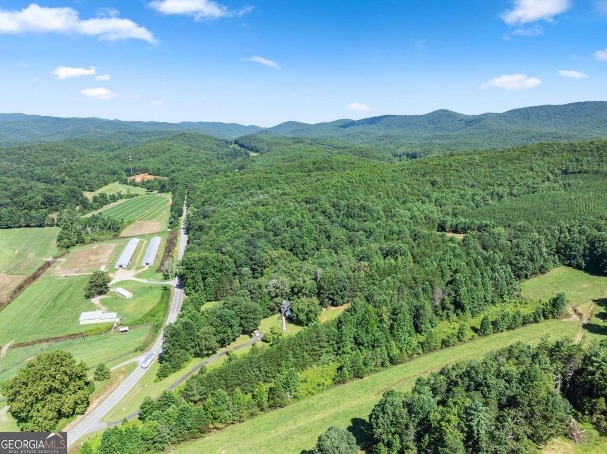 9724 Elliott Family Parkway Dawsonville - Photo 51