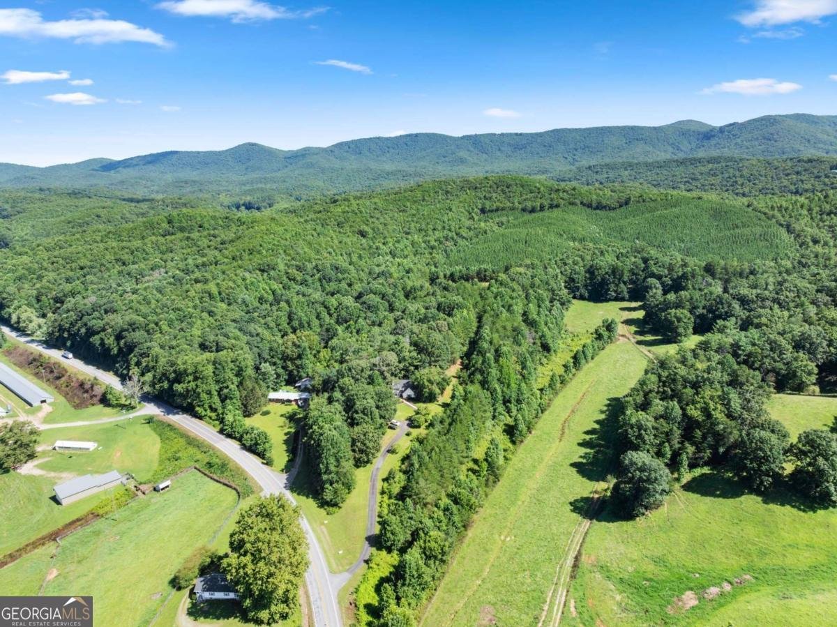 9724 Elliott Family Parkway Dawsonville - Photo 52