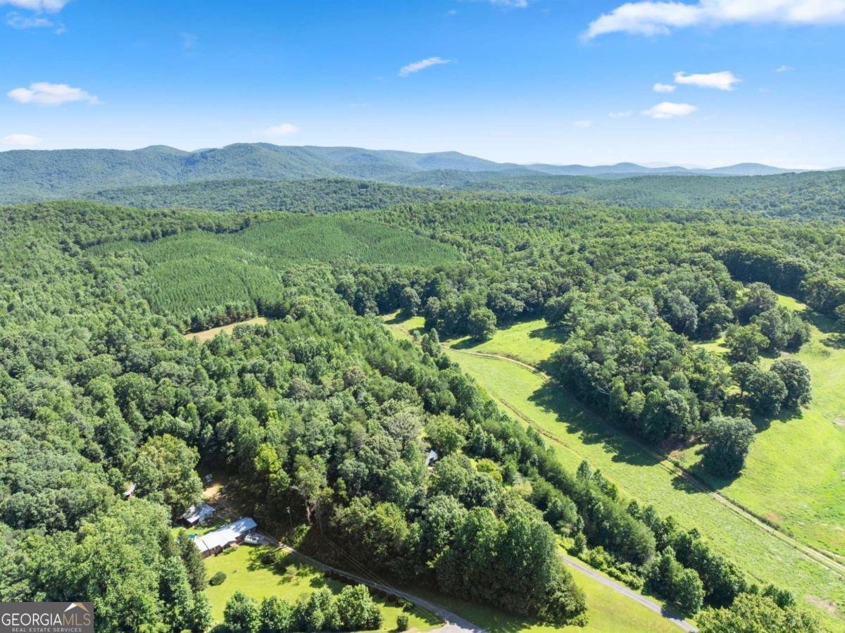 9724 Elliott Family Parkway Dawsonville - Photo 53